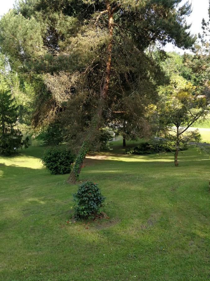 Hotel Le Jardin D Eau Lamothe-Montravel Esterno foto